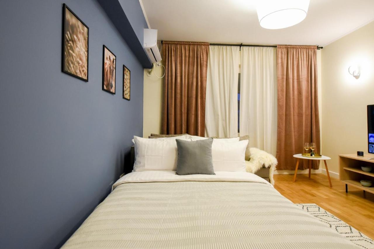 The Dream Apartment - Near Radisson Hotel ブカレスト エクステリア 写真
